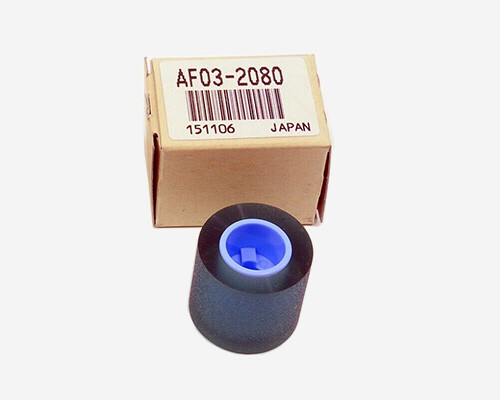 AF032080