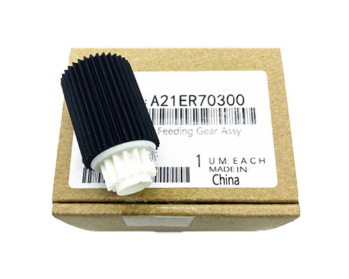 A21ER70300