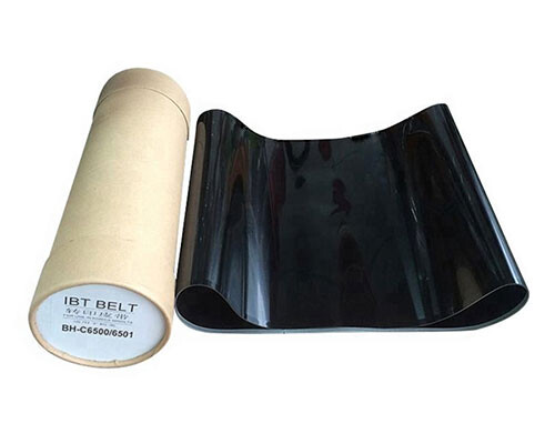 IBT_Belt_C5501-Stnd