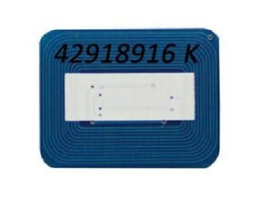 42918916-chip