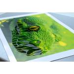 Konica Minolta AccurioShine 3600 с модулем iFoilOne